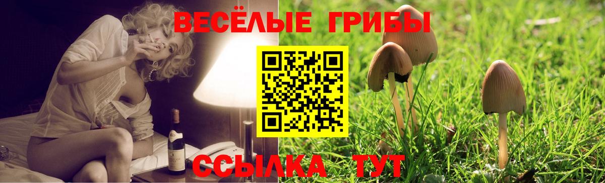 Галлюциногенные грибы GOLDEN TEACHER  Вход с VPN  Галлюциногенные грибы Psilocybe  Донской 